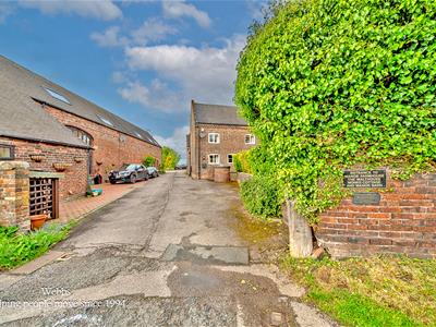Picture 31